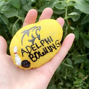 Image post by @adelphibowling on Instagram