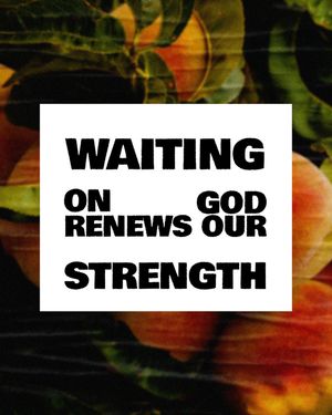 Image post by @wearetransformation on Instagram
