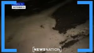 Video post by @newsnation on YouTube
