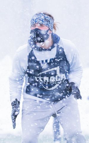 Image post by @Ithaca_FH on Twitter