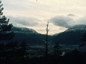Image post by @finniles on Instagram