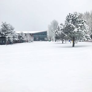 Image post by @nauflagstaff on Instagram