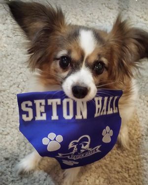 Image post by @setonhall on Instagram