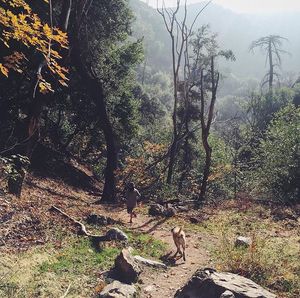 Image post by @olukai on Instagram
