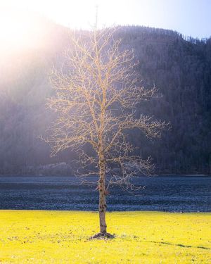 Image post by @cristan.photo on Facebook