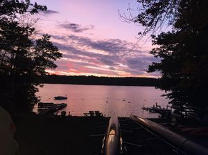 Image post by @stagsmensrowing on Instagram