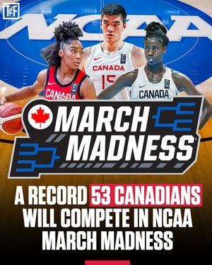 Image post by @realtimmicallef on Instagram