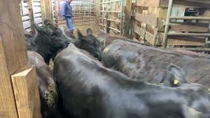 Video post by @virginiacooperativeextensi4868 on YouTube