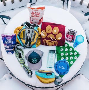 Image post by @triumphpetfood on Instagram