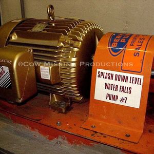 Image post by @cowmissing on Instagram