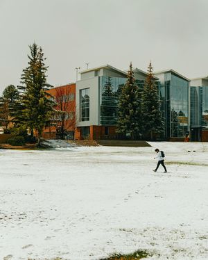 Image post by @nauflagstaff on Instagram