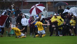 Image post by @suseagulls on Instagram