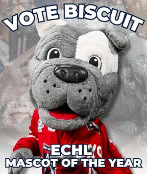 Image post by @allenamericans on Instagram