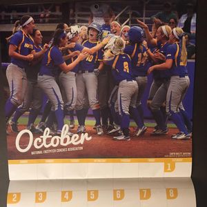 Image post by @hofstrasoftball on Instagram