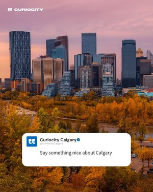 Image post by @curiocitycalgary on Instagram