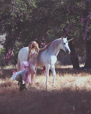 Image post by @parishilton on Instagram