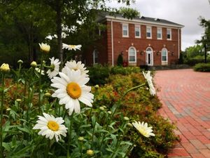 Image post by @elonuniversity on Instagram