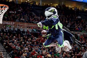 Image post by @blitztheseahawk on Instagram