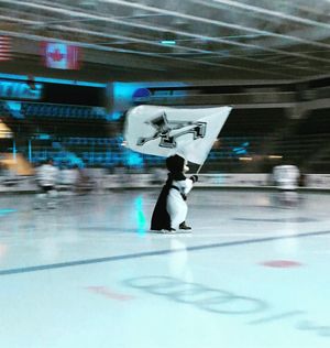 Image post by @pcwhockey on Instagram