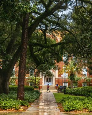 Image post by @uflorida on Instagram