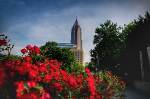 Image post by @davewphotography on Instagram