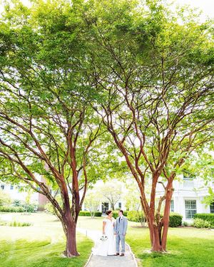 Image post by @roephoto on Instagram