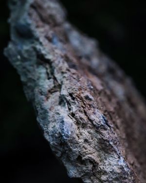 Image post by @jackportunephotography on Instagram