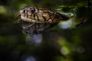 Image post by @natgeo on Instagram