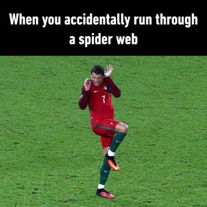 Image post by @9gag on Instagram