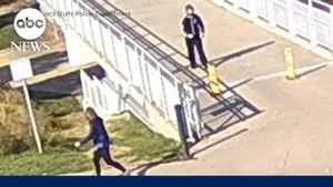 Video post by @abcnews on YouTube
