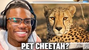 Video post by @thetravishuntershow on YouTube