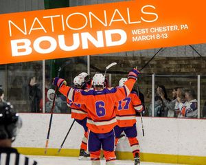 Image post by @clemsonicehockey on Instagram