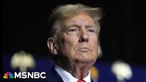 Video post by @msnbc on YouTube