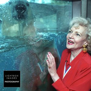 Image post by @lightboximages on Instagram
