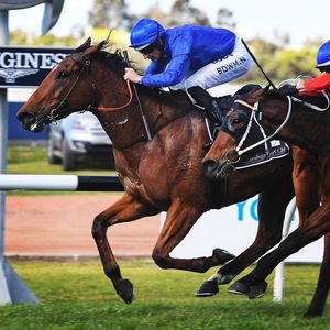 Image post by @australianturfclub on Instagram