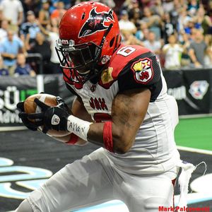 Image post by @jaxsharks on Instagram