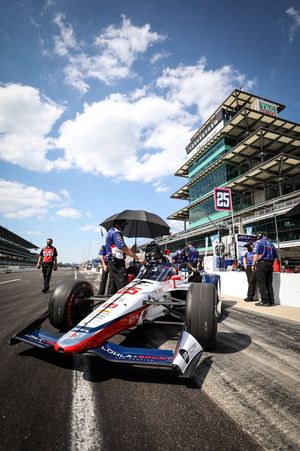 Image post by @stef_wilson on Twitter