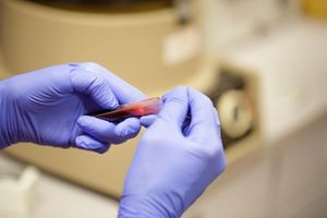 Image post by @emilygriffithtechnicalcollege on Instagram