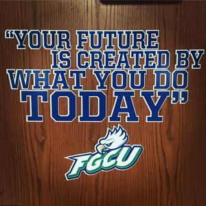 Image post by @fgcu_vb on Instagram