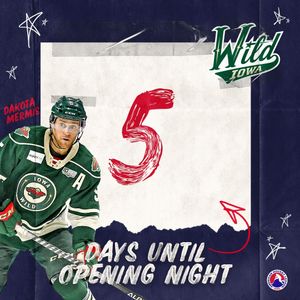 Image post by @theahl on Instagram