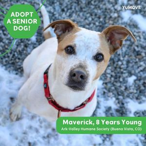 Image post by @YuMOVE.US on Facebook