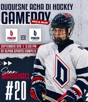 Image post by @DuqHockey on Twitter