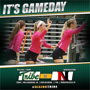 Image post by @tribeathletics on Instagram