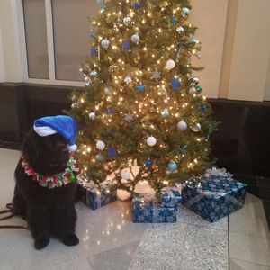Image post by @setonhall on Instagram