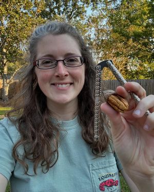 Image post by @annathearcher on Instagram