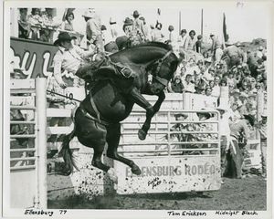 Image post by @ellensburgrodeo on Instagram