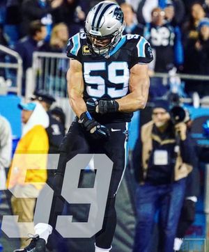 Image post by @roaringriot on Instagram