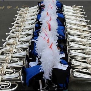 Image post by @thebluedevils on Instagram