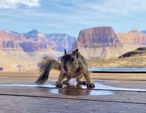 Image post by @nationalparkservice on Instagram