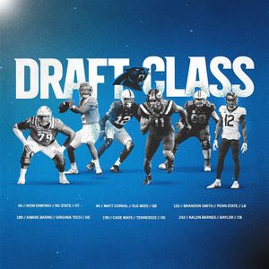 Image post by @panthers on Instagram